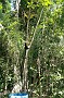 P_2007-12-20 12-45-19_1209